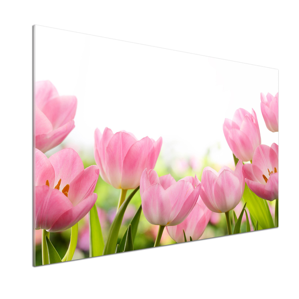 Cooker splashback Pink tulips