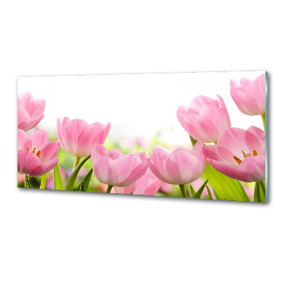 Cooker splashback Pink tulips