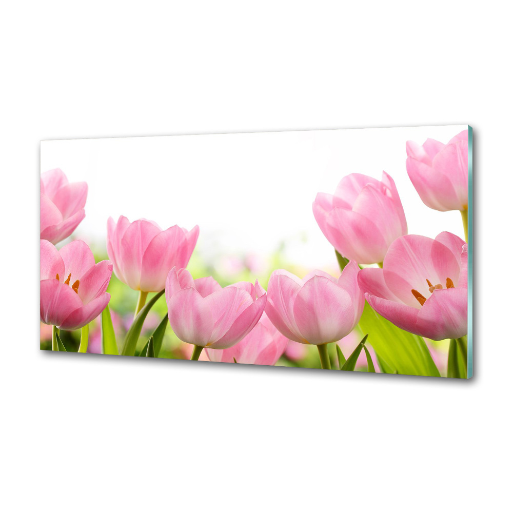 Cooker splashback Pink tulips