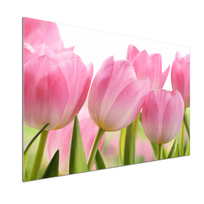 Cooker splashback Pink tulips