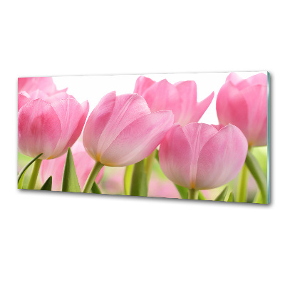 Cooker splashback Pink tulips