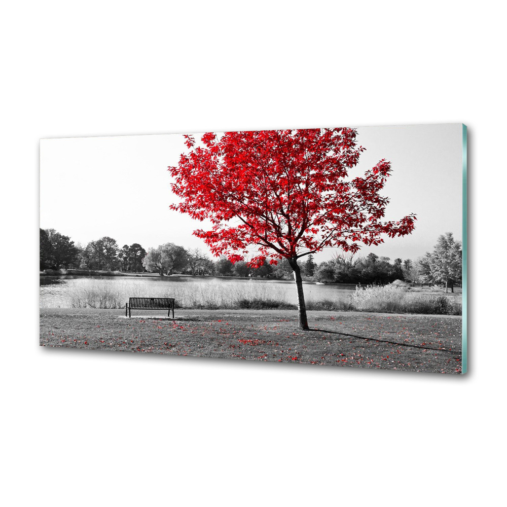 Cooker splashback Red tree