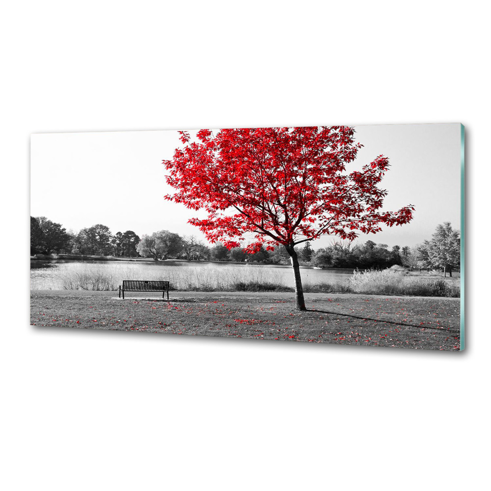 Cooker splashback Red tree