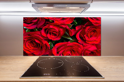 Cooker splashback Red roses