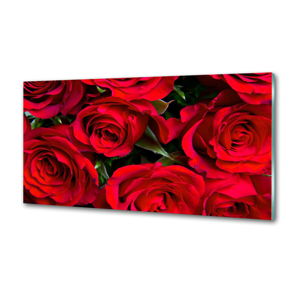 Cooker splashback Red roses