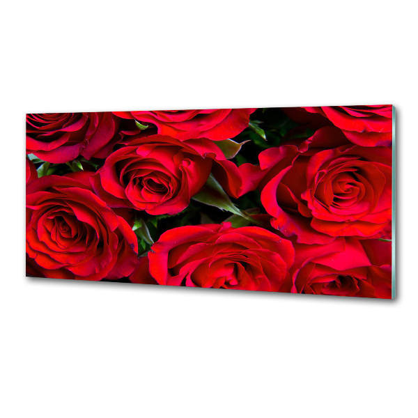 Cooker splashback Red roses