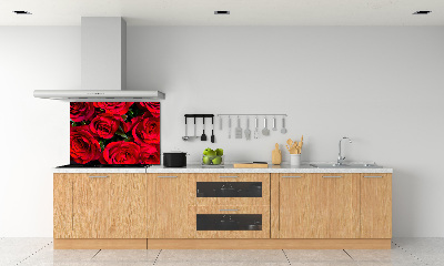 Cooker splashback Red roses