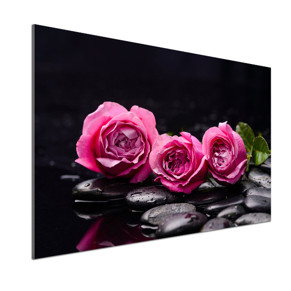 Cooker splashback Pink roses