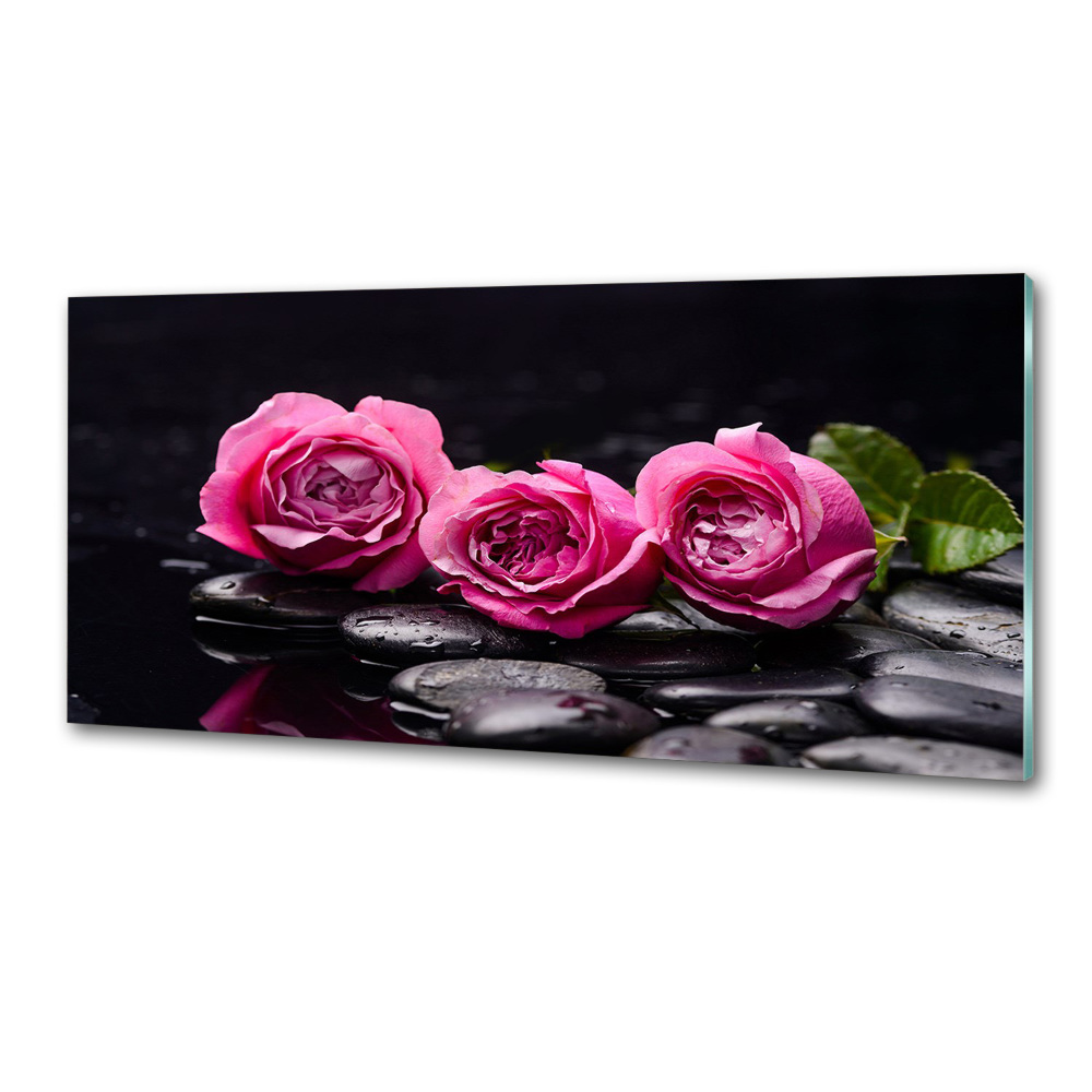 Cooker splashback Pink roses