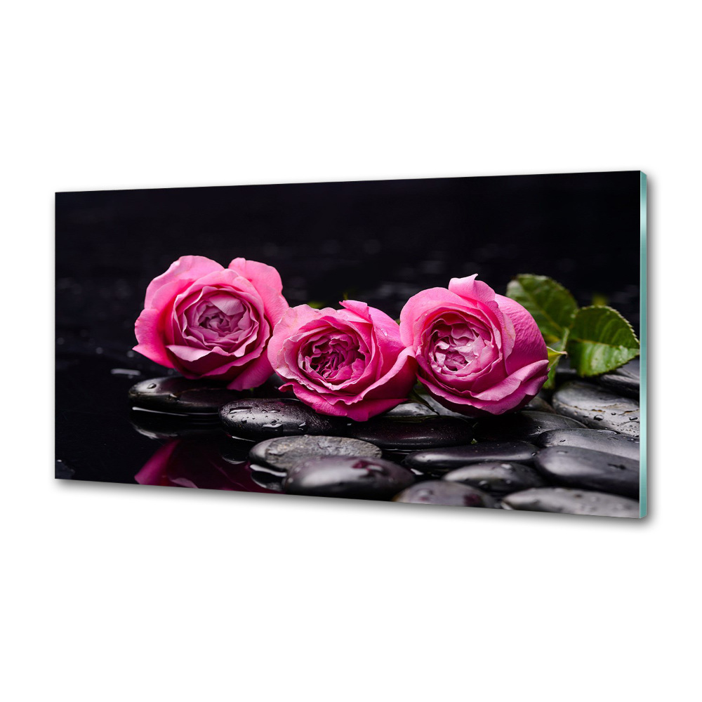 Cooker splashback Pink roses