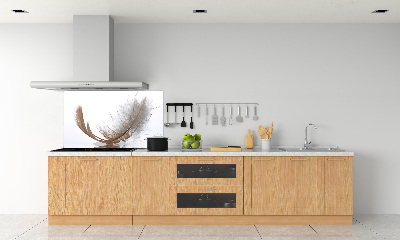 Kitchen splashback Feather on the water