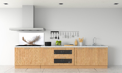 Kitchen splashback Feather on the water