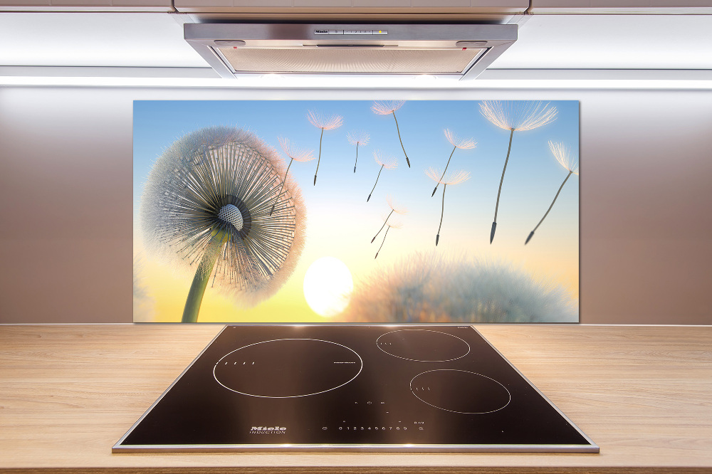 Cooker splashback Dandelion