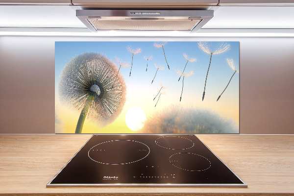 Cooker splashback Dandelion