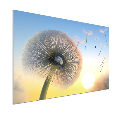 Cooker splashback Dandelion