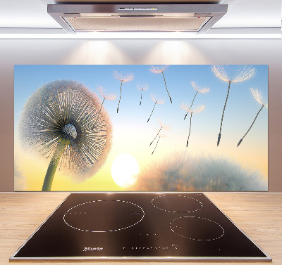 Cooker splashback Dandelion