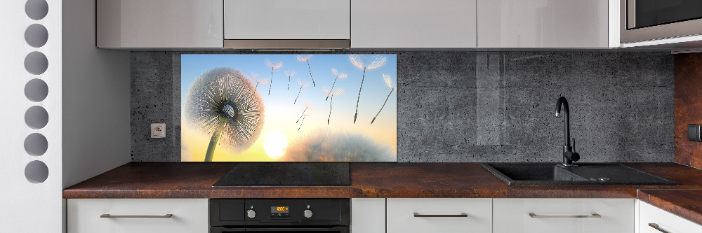 Cooker splashback Dandelion