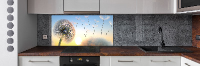 Cooker splashback Dandelion