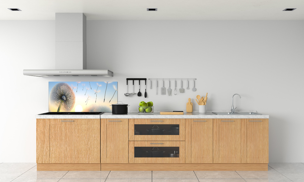 Cooker splashback Dandelion