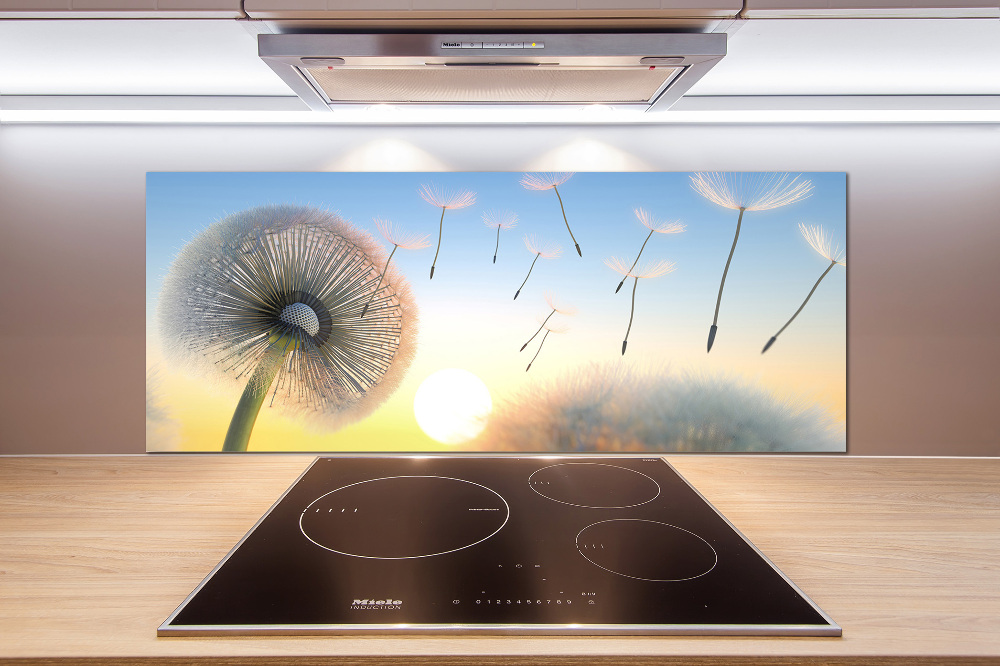 Cooker splashback Dandelion