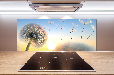 Cooker splashback Dandelion