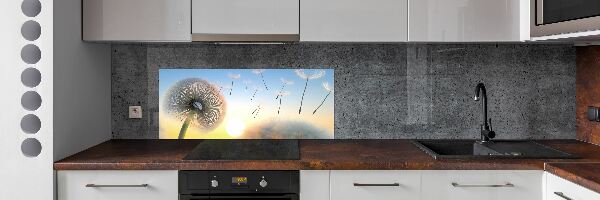 Cooker splashback Dandelion