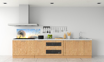 Cooker splashback Dandelion