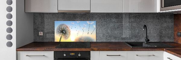 Cooker splashback Dandelion