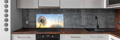 Cooker splashback Dandelion