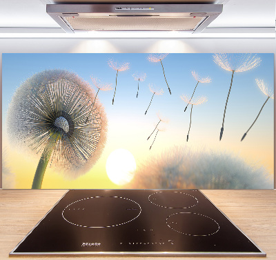 Cooker splashback Dandelion