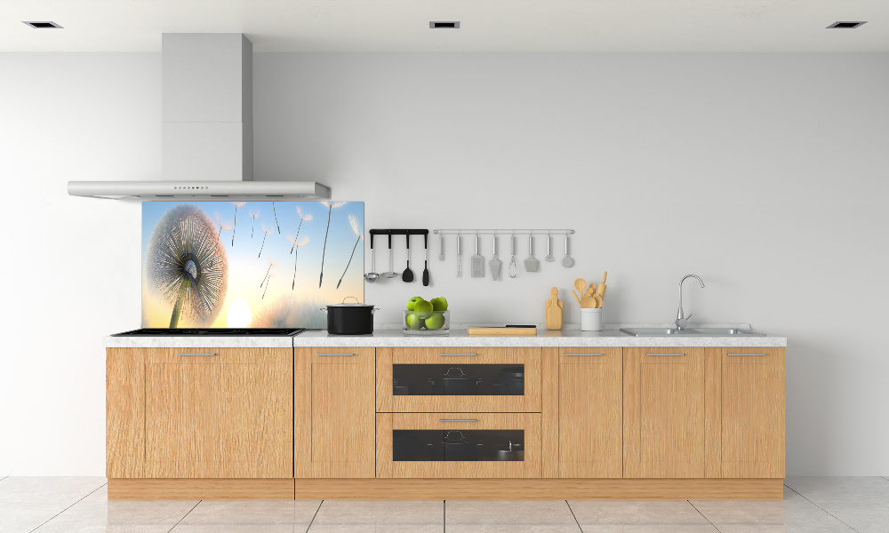 Cooker splashback Dandelion