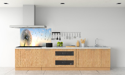 Cooker splashback Dandelion