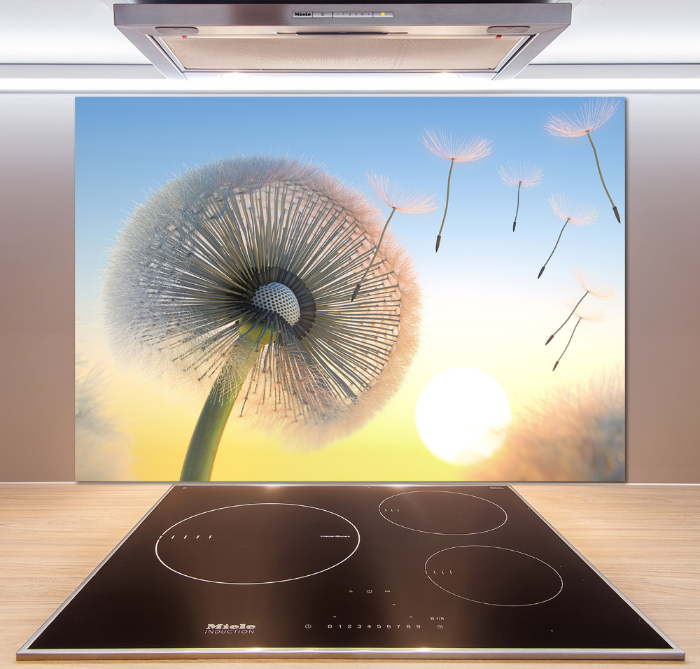 Cooker splashback Dandelion