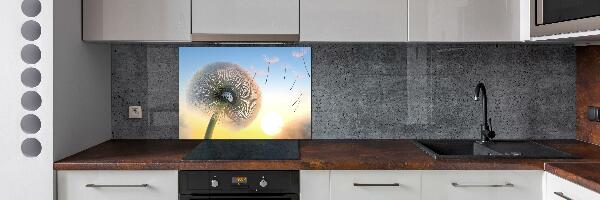 Cooker splashback Dandelion