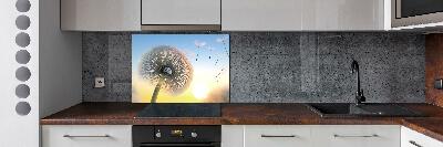 Cooker splashback Dandelion