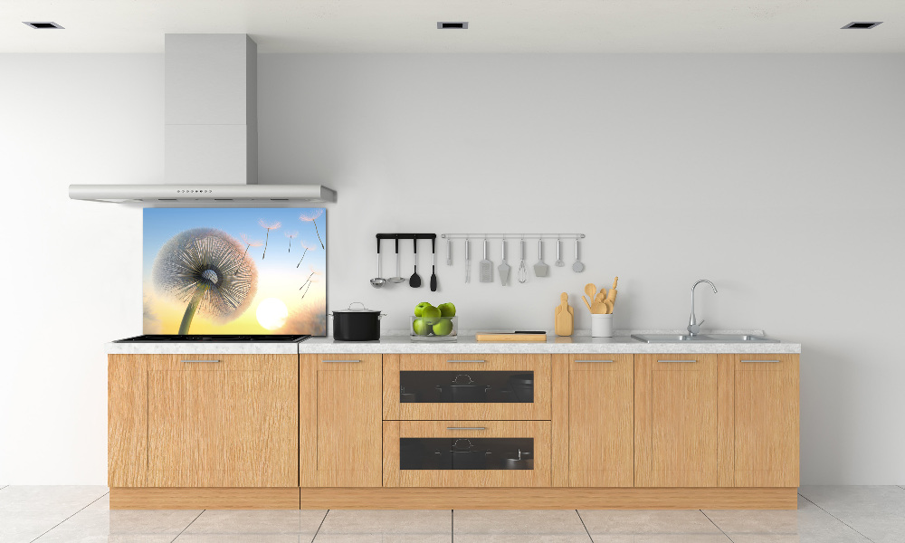 Cooker splashback Dandelion