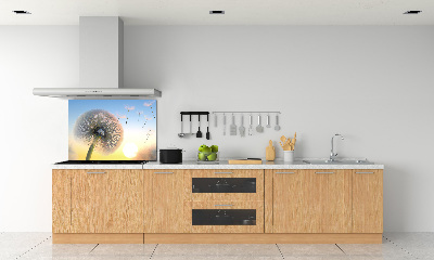 Cooker splashback Dandelion