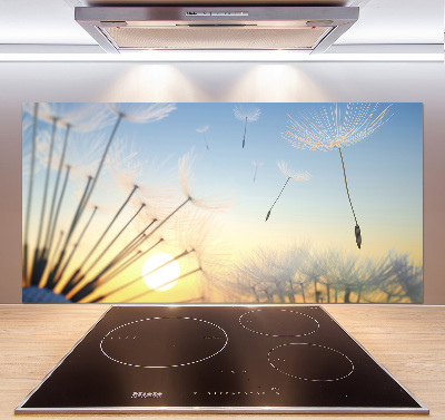 Cooker splashback Dandelion seeds