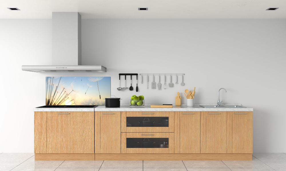 Cooker splashback Dandelion seeds