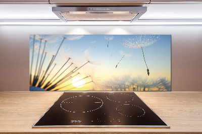 Cooker splashback Dandelion seeds