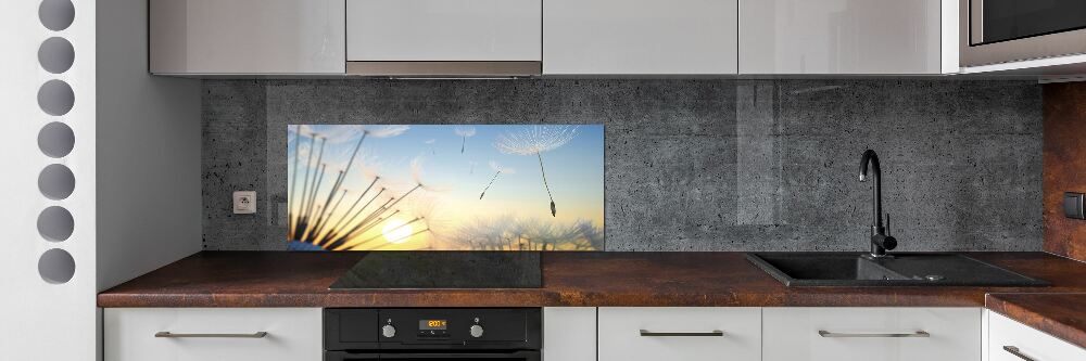 Cooker splashback Dandelion seeds