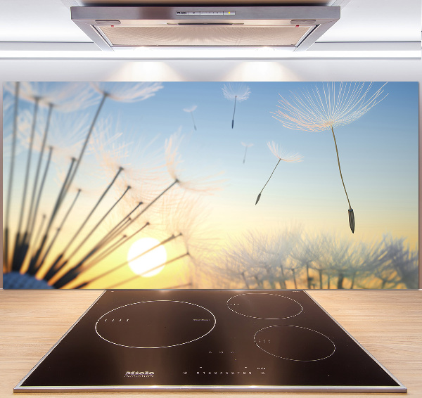 Cooker splashback Dandelion seeds