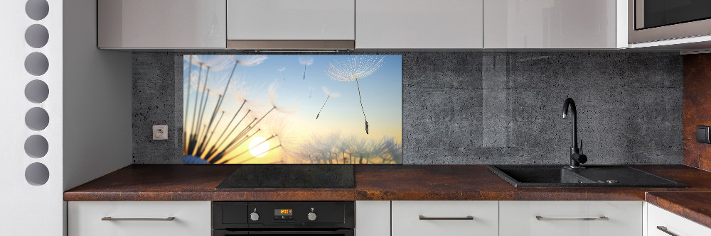 Cooker splashback Dandelion seeds