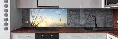 Cooker splashback Dandelion seeds