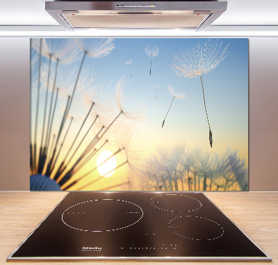 Cooker splashback Dandelion seeds