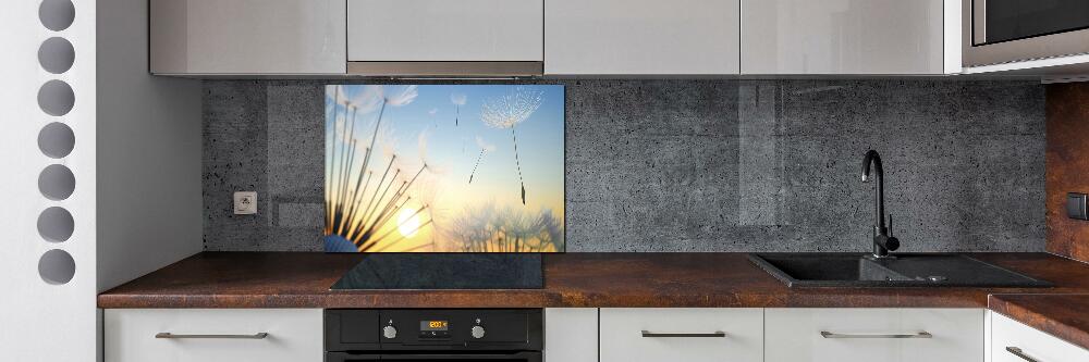 Cooker splashback Dandelion seeds