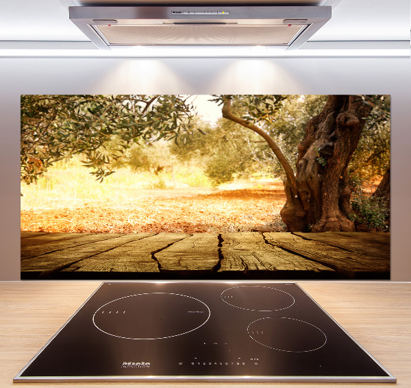 Cooker splashback Olive tree