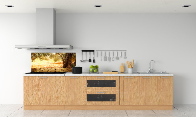 Cooker splashback Olive tree