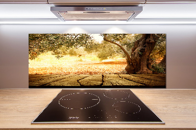 Cooker splashback Olive tree