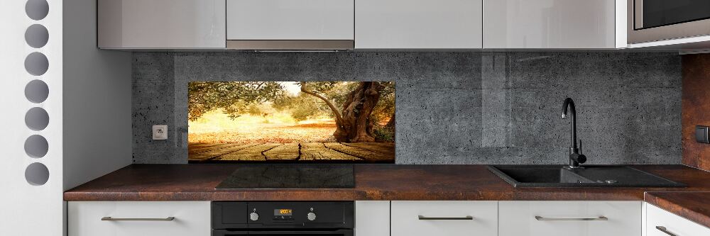 Cooker splashback Olive tree